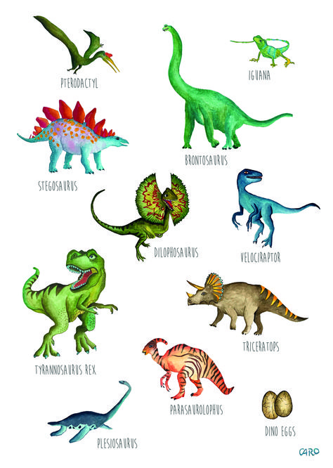 Types Of Dinosaurs Chart, Type Of Dinosaurs, Dinosaur Images Free Printable, Dinosaurs Names And Pictures, Names Of Dinosaurs, Different Dinosaurs, Dinosaur Names, Types Of Dinosaurs, Dinosaur Theme Preschool