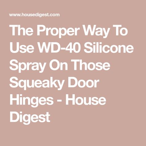 The Proper Way To Use WD-40 Silicone Spray On Those Squeaky Door Hinges - House Digest Squeaky Door Hinges, Wd 40 Uses, Squeaky Door, Wd 40, Door Hinges, Active Ingredient, Hinges, How To Use, Spray