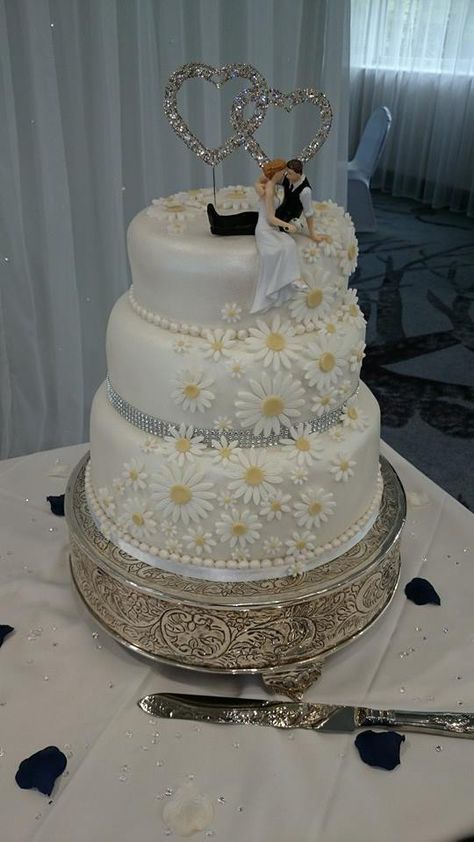 Wedding Cakes With Daisy Flowers, White Daisy Cake, Black Lace Wedding Cake, Wedding Coursage, Daisy Wedding Cake, Daisy Wedding Cakes, Chocolate Decorado, Vow Renewal Dress, Pale Blue Wedding