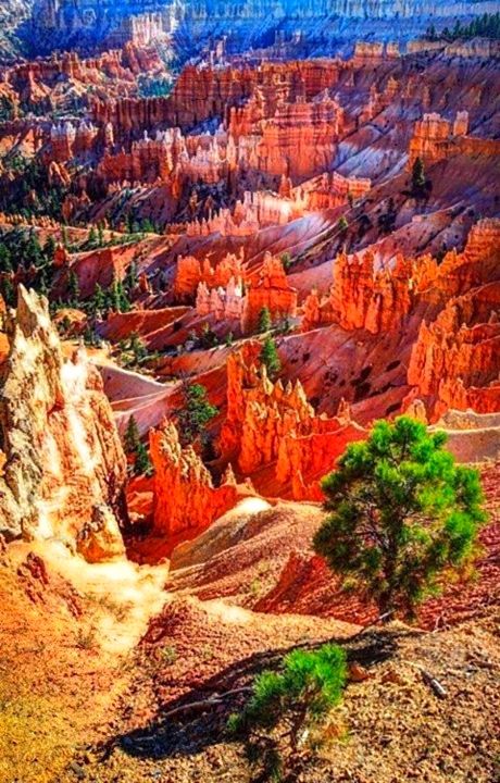 Scenic View, Have Inspiration, Halong Bay, Bryce Canyon National Park, Bryce Canyon, In The Desert, Travel Goals, Pretty Places, Places Around The World