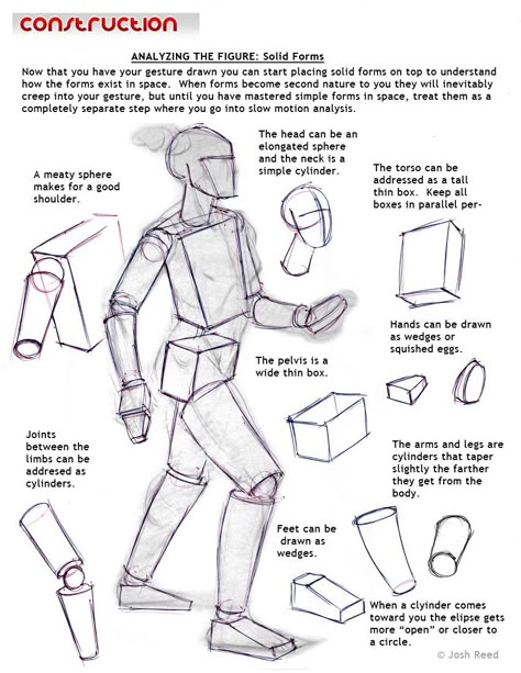 Drawsh: Construction: Solid Forms Construction Drawing, Figure Drawing Tutorial, Human Body Drawing, Drawing Female, Anatomy Tutorial, Human Anatomy Drawing, Body Drawing Tutorial, Human Figure Drawing, Human Anatomy Art