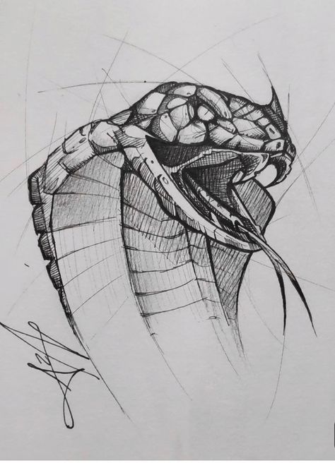 Snake Sketch, Cobra Tattoo, Snake Drawing, Snake Art, New Pen, Snake Tattoo, I Am Back, Pencil Art Drawings, Animal Sketches