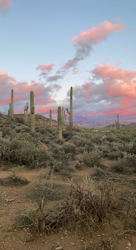 Arizona Road Trip Aesthetic, Desert Wallpaper Aesthetic, Arizona Aesthetic Wallpaper, Arizona House Aesthetic, Scottsdale Arizona Aesthetic, Tucson Arizona Aesthetic, Scottsdale Aesthetic, Sedona Arizona Aesthetic, Sedona Aesthetic