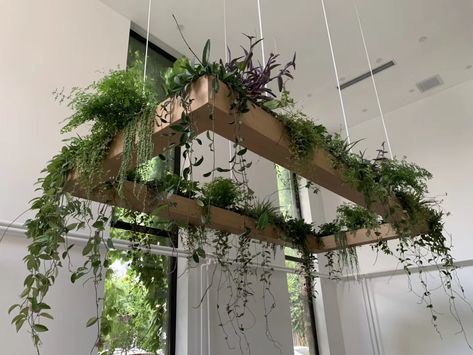 Live Plant Chandelier, Ceiling Garden Ideas, Indoor Plant Ceiling, Suspended Plants Ceiling, Hanging Plant Ceiling Grid, Hanging Plant Chandelier, Industrial Hanging Plants, Chandelier With Plants, Ceiling Trellis