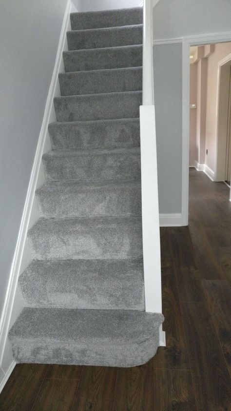 Gray Carpet Living Room Furniture, Hallway Grey Walls, Stairs Paint Color Ideas, Stairs Grey Carpet, Hallway And Landing Paint Ideas, Grey Carpets For Stairs And Landing, Grey Stair Carpet Ideas, Grey Landing And Stairs, Grey Carpet Staircase