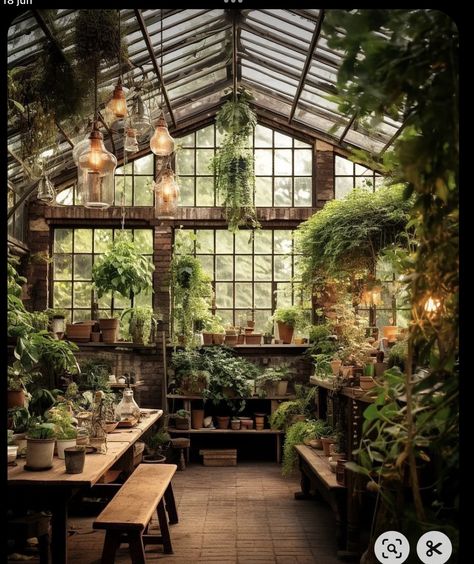 Green House Interior Ideas Planters, House Filled With Plants, Gardening Room, Converted Factory, Plant Rooms, Dream Greenhouse, Modern Greenhouses, Outdoor Greenhouse, Greenhouse Interiors