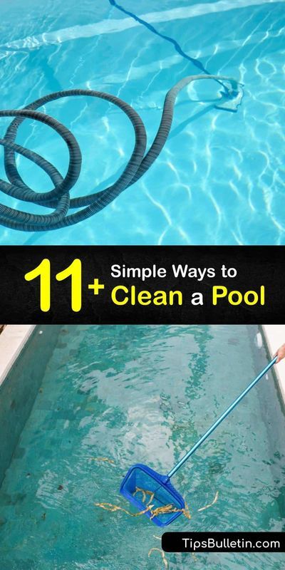 Pool Cleaning Hacks, Flowers To Attract Butterflies, Homemade Swimming Pools, Pool Stains, Coastal Pool, Pool Cleaning Tips, Pool Pumps And Filters, Clean Pool, Swimming Pool Maintenance