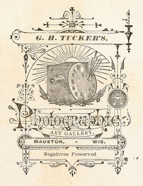 G.H. Tucker Cabinet Card Back Detail by depthandtime, via Flickr Making Posters, Vintage Book Art, Cabinet Cards, Learning Poster, Vintage Cabinet, Beautiful Lettering, Old Photography, Cabinet Card, Vintage Graphic Design