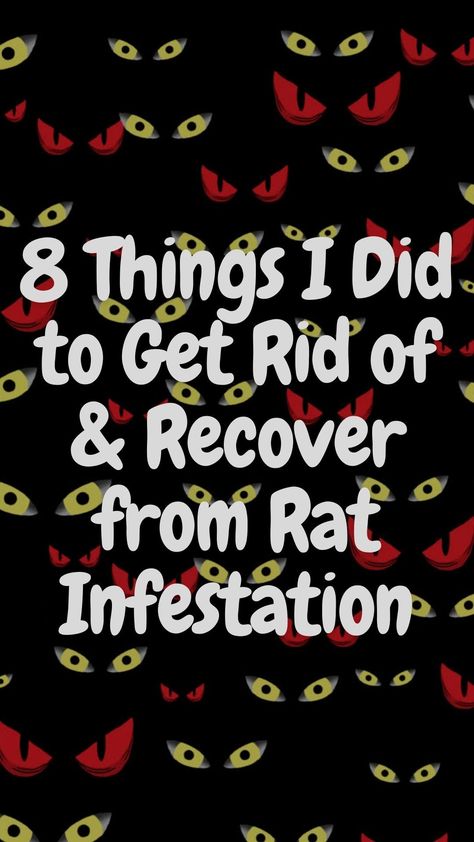 A few years back, our whole family took a winter vacation overseas. When we came home after two weeks, dozens of mice and rats moved in and were running around, particularly in the kitchen. How To Get Rid Of Rats In The House, How To Get Rid Of Rats, Get Rid Of Rats In Home, How To Get Rid Of Mice And Rats, How To Get Rid Of Rats In Chicken Coop, Get Rid Of Rats Outside, Roof Rats How To Get Rid Of, Roof Rats, Rat Infestation