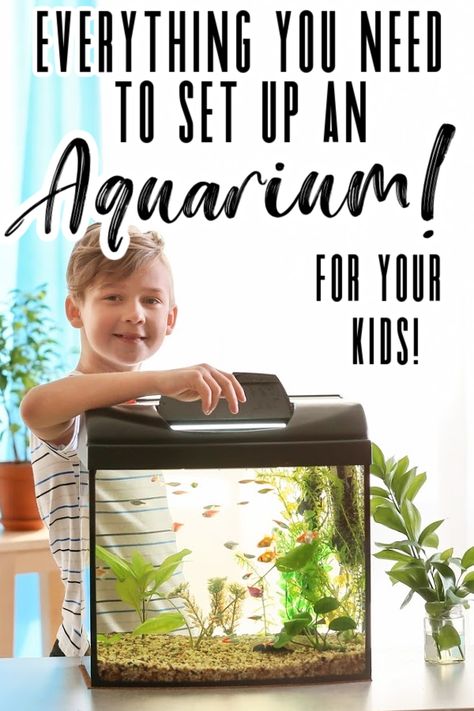 Looking for an easy beginners pet for your kids? Why not try setting up a freshwater aquarium? I have fond memories as a kid keeping fish in my room. The whole experience was memorable, setting up the tank with my mom, naming the fish, watching it swim around as I went to sleep. Recently I had the opportunity to attend a webinar with Mars Fishcare all about caring for freshwater fish in an aquarium. I’m so excited to share with you all I learned and a few clips from the webinar in this post, s Easy Care Fish Tank Aquarium, Fish Tank For Beginners, Small Aquarium Ideas Living Rooms, Classroom Fish Tank, Beginner Fish Tank, Small Fish Tank Ideas, Aquarium For Kids, Fish Tank For Kids, Beginner Aquarium