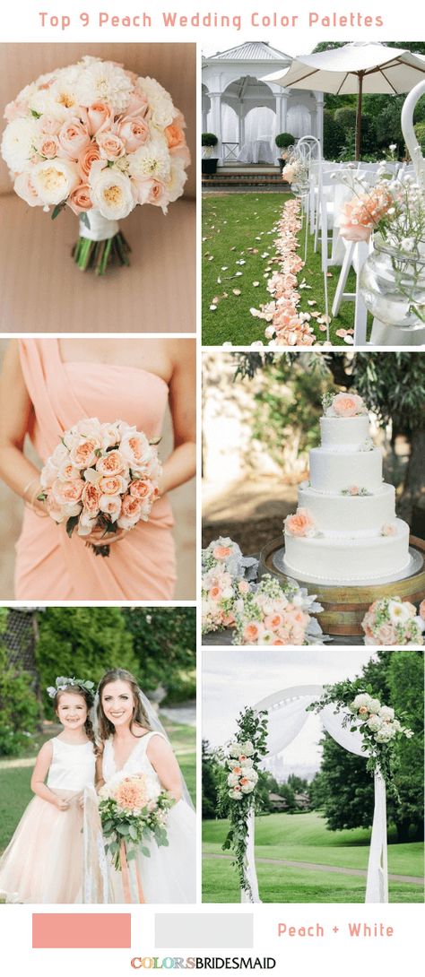 Top 9 Peach Wedding Color Palettes for 2019 -No.9 Peach and White #colsbm #bridesmaids #weddings #weddingideas #summerwedding b574 Peach Decorations Wedding, Sage Green And Peach Wedding Decor, Wedding Decor Peach, Peaches And Cream Wedding Theme, Wedding Peach Color, Peach And White Wedding, Peach Wedding Theme, Peach Wedding Decorations, Peach Wedding Colors