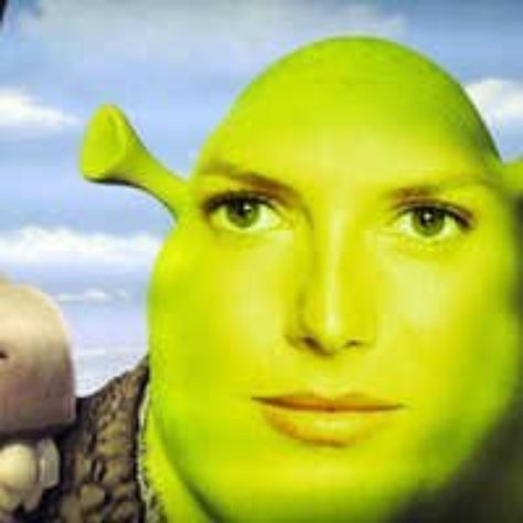 Don't worry,  It's all ogre now. Shrexy Shrek, Obama Prism, Shrek Memes, Snapchat Funny, Funny Profile, Cartoon Memes, Funny Profile Pictures, Meme Faces, Shrek