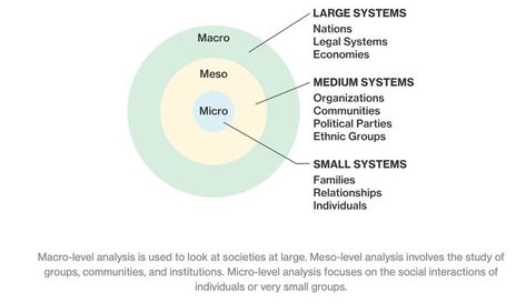 Breakdown of the Macro, Meso and Micro levels of society. Sociological Perspective, Micro Vs Macro Economics, Functionalism Sociology, Macro Micro Nutrients, Structural Functionalism Sociology, Micro Economics, Career Help, Legal System, Student Studying