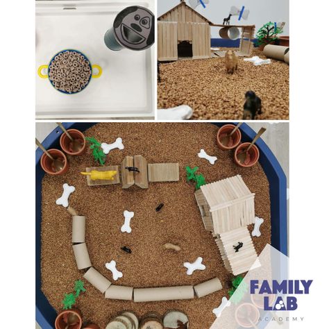 Learn about dogs with your child by doing this sensory activity Dog Theme Sensory Bin, Dog Sensory Bin, Craft For School Age, Party Like An Animal, Sensory Basket, Classroom Stations, Tuff Spot Ideas, Pet Study, Creative Curriculum Preschool