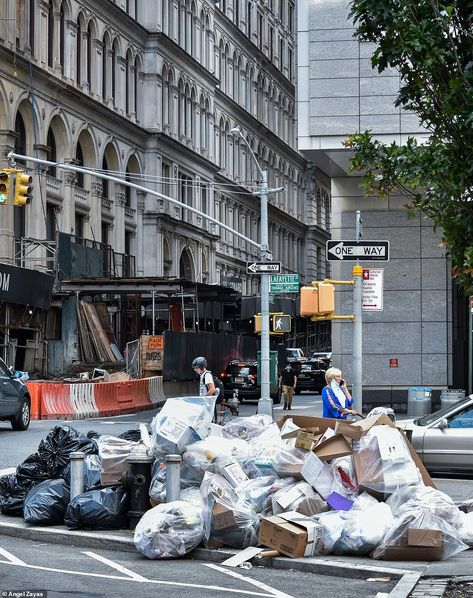 Trash Aesthetic, Destroyed Environment, Picking Up Trash Aesthetic, Trash On The Street, Trash Segregation, Garbage In The Ocean, Street Trash, Great Garbage Patch, City Rats