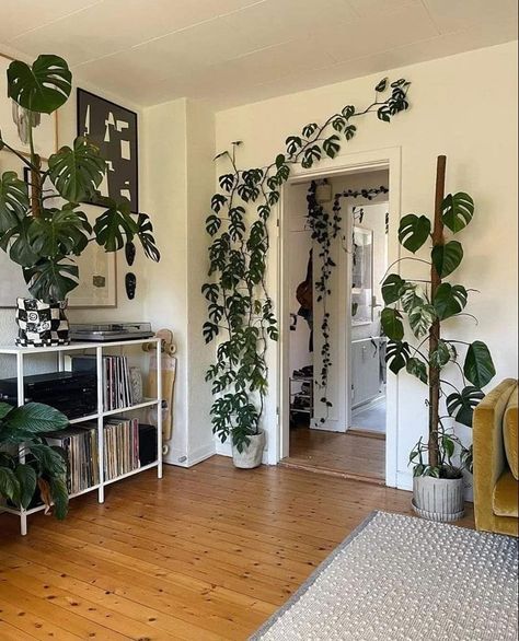 Deco Studio, Inside Plants, Plant Decor Indoor, Cozy Room Decor, House Plants Decor, Apartment Decor Inspiration, Room With Plants, House Plants Indoor, Apartment Inspiration