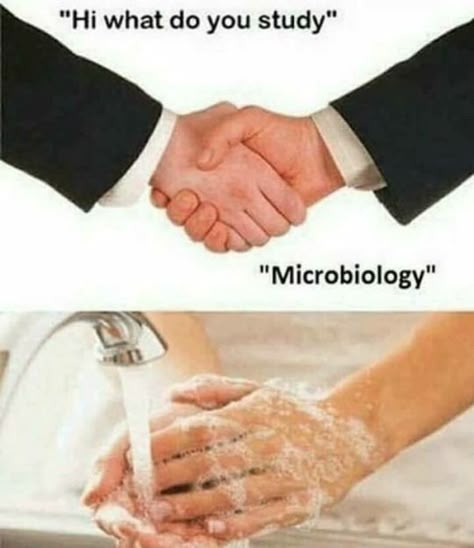 Microbiology Humor, Biology Jokes, Biology Memes, College Meme, Biology Humor, Medical Memes, Nerdy Jokes, Nerdy Humor, Studying Memes