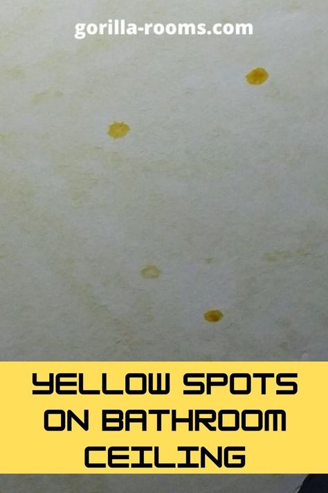 Yellow Brown Bathroom, Mold On Bathroom Ceiling, Bathroom Ceilings, Bathroom Inspiration Board, Wall Stains, Yellow Ceiling, Basement Ceiling, Brown Bathroom, Bathroom Ceiling