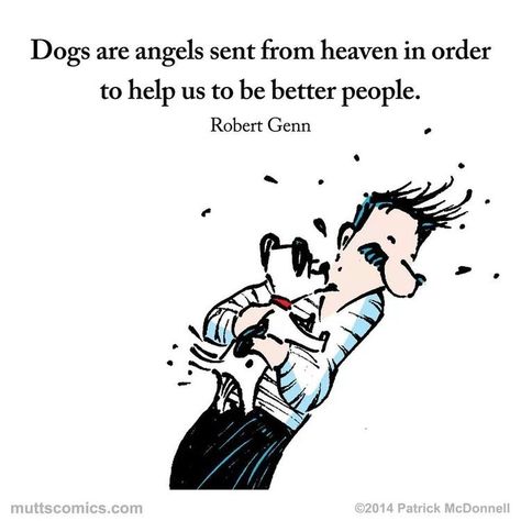 Dogs are angels sent from heaven in order to help us to be better people. Description from pinterest.com. I searched for this on bing.com/images Dogs Are Angels, Mutts Comics, Dog Rules, Cats And Dogs, Animal Quotes, Dog Quotes, Dog Life, I Love Dogs, Dog Love