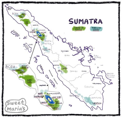 Sumatra Coffee Overview - Sweet Maria's Coffee Library Bangka Island, Sumatra Coffee, Riau Islands, Arabica Robusta, Lake Toba, North Sumatra, Coffea Arabica, Banda Aceh, Padang