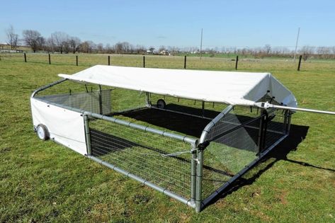 Pigeon Loft Design, Mobile Chicken Coop, Broiler Chicken, Chicken Tractors, Diy Chicken Coop Plans, Chicken Tractor, Chicken Bird, Hobby Farm, Chicken Coop Plans