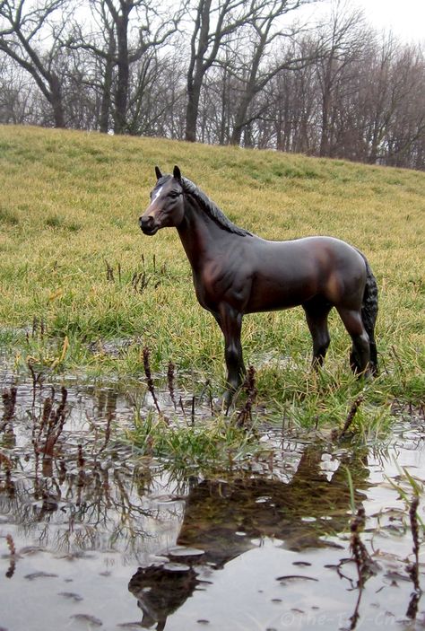 Breyer - Fen And Reed by The-Toy-Chest on DeviantArt Seal Bay Horse, Diy Horse Barn, Bryer Horses, English Horse, Horse Inspiration, Bay Horse, Australian Shepherd Dogs, Most Beautiful Horses, Toy Horse