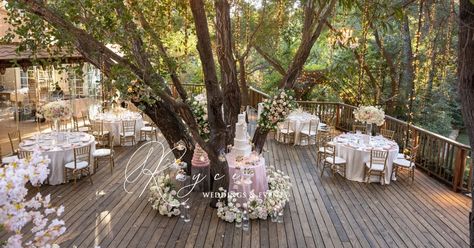 Fairytale Calamigos Ranch Wedding | Birchwood Room Malibu Calamigos Ranch Wedding, Calamigos Ranch, Jasmine Plant, Wedding Altars, Ranch Wedding, Wedding Designs, Fairy Tales, Design