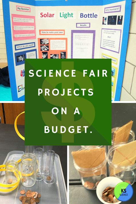 Find out how to create an inexpensive science fair projects.  Projects will be exciting and unique, but won't cost a lot of money.  Many projects can use items you have in your house.  Get great ideas for a winning project. Social Studies Fair Projects, Unique Science Fair Projects, 6th Grade Science Fair Projects Ideas, Engineering Science Fair Projects, 7th Grade Science Projects, Winning Science Fair Projects, Classroom Science Experiments, Easy Science Fair Projects, Science Fair Project Ideas