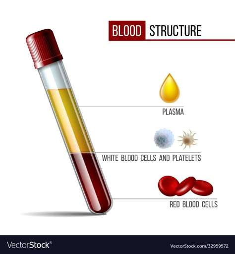 Phlebotomy Study, Medical Laboratory Science Student, Nursing Labs, Blood Components, Blood Plasma, Fx Trading, Learn Forex Trading, Vet Medicine, Basic Anatomy And Physiology