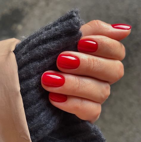 Posted by Zoe Scott. #rednail #rednaildesign. Hey there, nail enthusiasts! Get ready to embrace the bold and beautiful world of Short Red Nails – a timeless trend that's all about making a stateme... Red Nails December, Shorter Red Nails, Classic Red Nails Short, Red Short Nails Square, Red Gel Manicure Short Nails, 2024 Red Nails, December Red Nails, Red Gel Nails Designs Classy, Squoval Red Nails