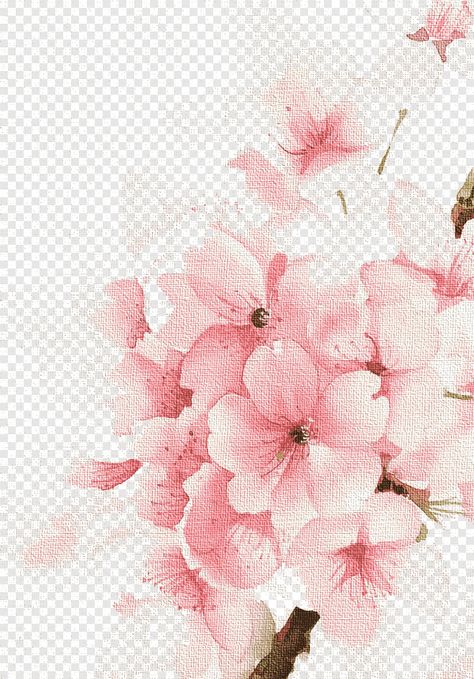 Drawing Cherry Blossoms, Flower Pink Wallpaper, Drawing Cherry, Cherry Blossom Watercolor, Cherry Blossoms Illustration, Cherry Blossom Painting, Watercolour Flowers, Pink Watercolor Flower, Blossoms Art