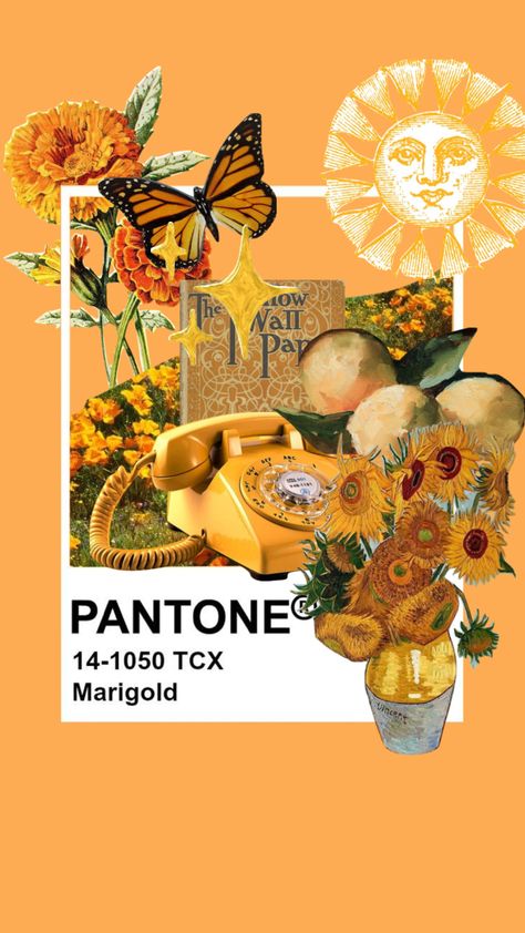 Pantone Sunflower, Sunflower Collage, Pantone Cards, Honey Witch, Pantone Art, Pantone Swatch, Igcse Art, Altered Cards, Pantone Swatches