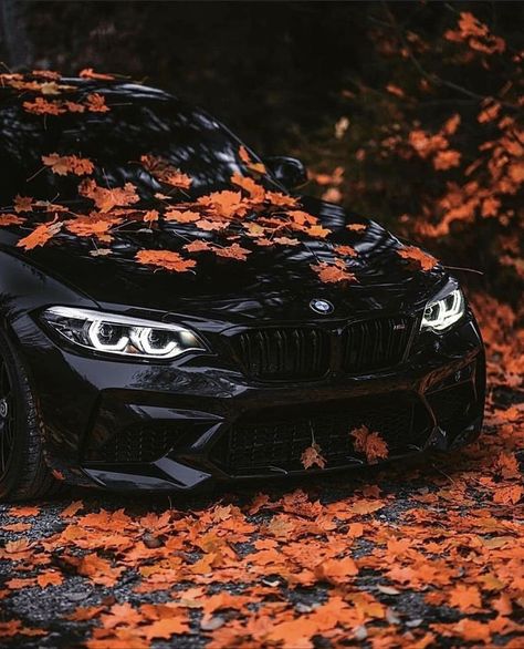 Pin by patricia ferreira on BMW | Bmw love, Bmw, Bmw m4 Black Bmw, Tokyo Drift Cars, Bmw Black, Scary Dogs, Bmw Wallpapers, Pimped Out Cars, Bmw Love, Photos For Profile Picture, Car Chevrolet