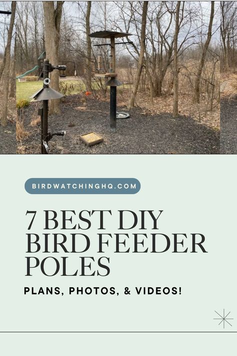 Are you thinking of creating your own DIY Bird Feeder Pole?

Let me first congratulate you on being a dedicated backyard birder! It’s incredible that you’re using your time and creativity for such a great project. =)

I’ve compiled a list of the best DIY Bird Feeder Poles with videos, photos, and plans. I’m positive you can find a design that’s perfect for you! Diy Bird Feeder Pole, Bird Feeder Poles, Diy Bird Feeder, Diy Birds, Life List, Bird Feeder, Me First, Bird Watching, Best Diy