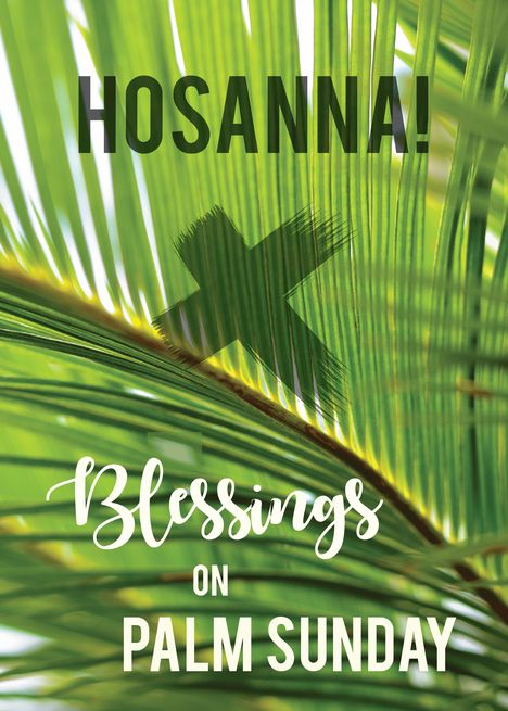 Palm Sunday Blessings Hosanna card Palm Sunday Blessings, Sunday Blessings, Birthday Card Messages, Palm Sunday, Favorite Bible Verses, Card Card, Photo Card, Card Sizes, Favorite Quotes