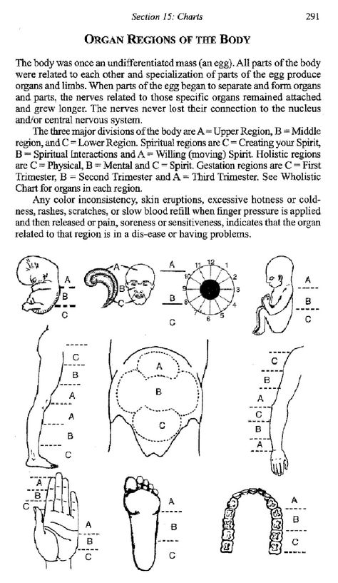 African Holistic Health, African Herbalism, Theraputty Exercises, Polarity Therapy, African Herbs, Pressure Point Therapy, How To Help Nausea, Sports Therapy, Shamanic Healing