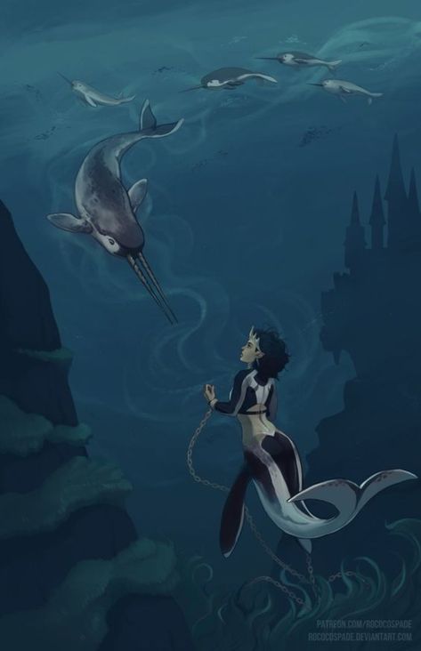 Orca Mermaid, Mermaid Character Design, Dolphin Mermaid, Mermaid Character, Art Vampire, Dengeki Daisy, Mermaid Man, Mermaid Cove, Comics Anime