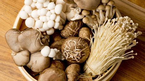 Our running list of the best mushrooms for your health* (#2 may quite possibly be our favorite) With so many edible mushrooms out there, it can be hard to narrow down which ones to pick up at the grocery store for dinner, let alone which ones to take to support your health and well-being.* You might be curious about wh Health Benefits Of Mushrooms, Mushroom Benefits, Chaga Mushroom, Edible Mushrooms, Food Medicine, Mushroom Powder, Mushroom Coffee, Detox Smoothie, Portobello