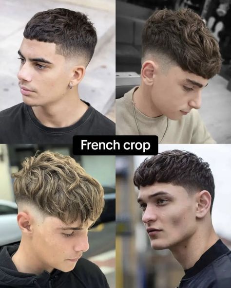 French Fringe Men, French Cut Hair Men, French Cut Hair, French Crop Hairstyle, French Crop Haircut, Low Fade Curly Hair, French Crop Hair Men, Fade Curly Hair, Hair Designs For Men