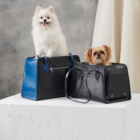 The debut Shaya Pet Carrier comes in two sizes: petite and tall 👛 Luxury Dog Carrier, Luxury Pet Carrier, Small Dog Carrier, Mini Poodles, Brussels Griffon, Work And Travel, Modern Pet, Chinese Crested, Luxury Pet