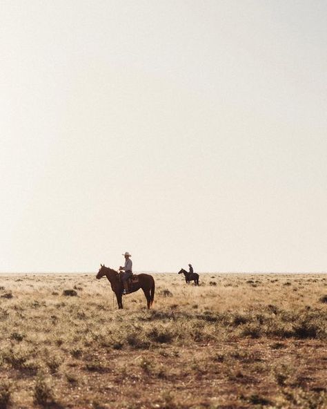 Amelia Scholtz on Instagram: "Flat horizons as far as the eye can see. A moment of stillness for these two cowboys on the Hay plains." Vintage Western Photos, Cowboy Core Aesthetic, Filson Aesthetic, Urban Cowboy Aesthetic, Farmstead Aesthetic, Cowboy Aesthetic Western, Two Cowboys, Desert Cowboy, Aesthetic Horse