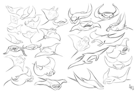 Animal Studies: Manta Rays by Tigerhawk01 on DeviantArt How To Draw Manta Ray, Stingray Drawing, Ray Drawing, Manta Ray Art, Ray Tattoo, Animal Studies, Sea Drawing, Manta Rays, Ocean Tattoos