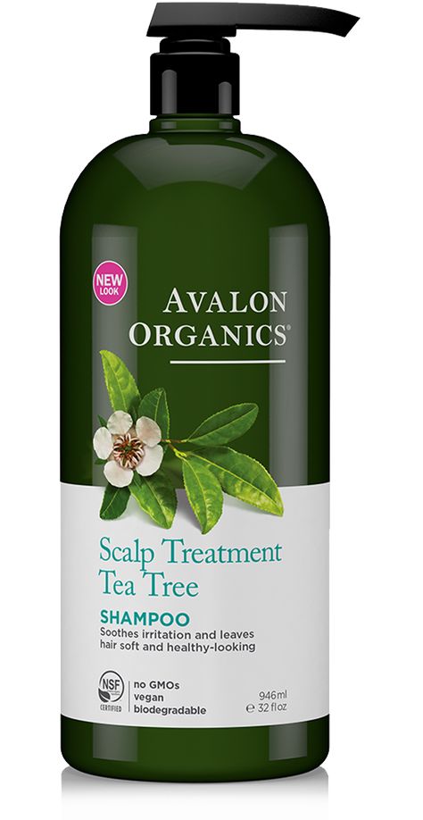 Hair Care | Avalon Organics Organic Conditioner, Avalon Organics, Tea Tree Shampoo, Organic Shampoo, Scalp Shampoo, Organic Tea, Tea Tree Essential Oil, Essential Oils Rosemary, Organic Teas