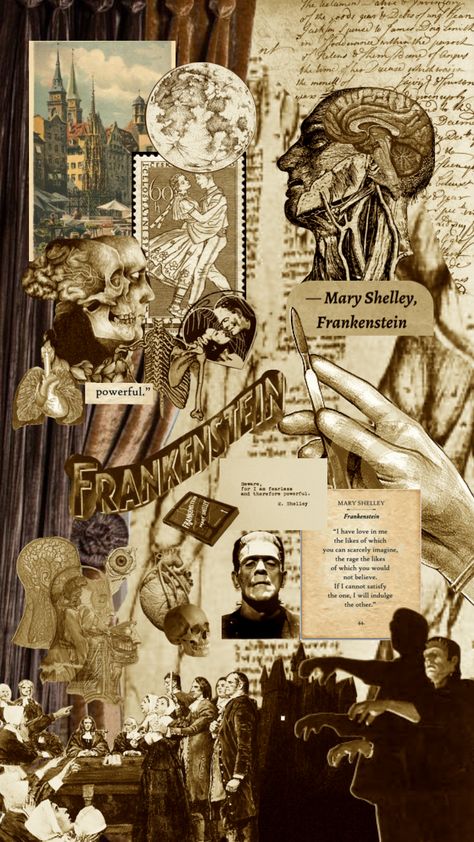 Classic Literature Aesthetic Wallpaper, Classic Literature Posters, Frankenstein Wallpaper, Frankenstein Poster, Literature Aesthetic, Modern Prometheus, Gothic Literature, Halloween Playlist, The Modern Prometheus