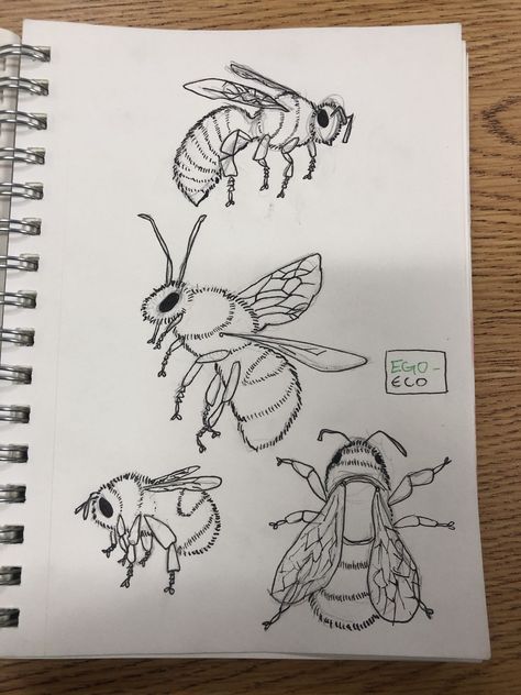 Insects Sketch, Insect Sketch, Simple Draw, Drawing Learning, Drawings Of Animals, Pencil Drawings Of Animals, Nature Sketch, Art Sketches Doodles, Pen Art Drawings