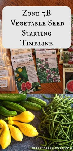 Zone 7B Seed Starting Guide. A gardening guide for starting seeds in gardening zone 7B. Gemüseanbau In Kübeln, Vegetable Garden Planner, Gardening Guide, Starting Seeds, Growing Tomatoes In Containers, Organic Pesticide, Zone 7, Gardening Zones, Organic Vegetable Garden