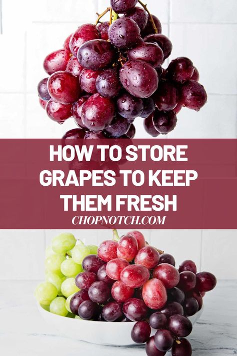 Grapes are a versatile fruit and they make a delicious snack food whenever a sweet craving hits. Knowing how to store grapes means you can buy plenty at a time and they should stay ripe, crisp, and delicious for as long as possible. So, Do You Know How to Store Grapes to Keep Them Fresh? Discover here! #FoodStorage #GrapesStorage #Grapes #FruitStorage Keep Grapes Fresh Longer, Grape Storage In Fridge, Storing Grapes In Mason Jar, Storing Grapes In Fridge, Best Way To Store Grapes, How To Keep Grapes Fresh Longer, How To Store Grapes In Fridge, Fresh Grapes Recipes, Storing Grapes