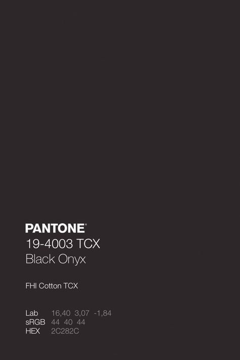 Black Pantone, Pantone Black, Brown Pantone, Mood Boards Color, Pantone Color Chart, Pantone Swatches, Onyx Color, Pantone Palette, Pantone Colour Palettes