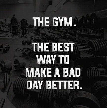 Gladiator Workout, Eddie Hall, Bodybuilding Logo, World Gym, Workout Quote, Hindu Quotes, Gym Photography, Gym Quotes, Gym Lover