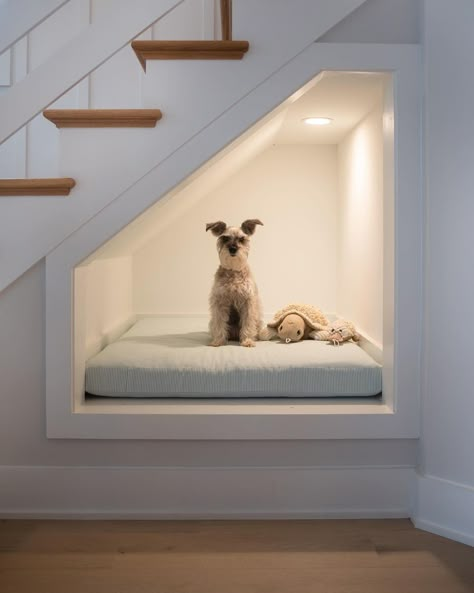 Barkitecture Ideas, Dog Under Stairs, Bed Under Stairs, Under Stairs Dog House, Dog Nook, Under Stairs Nook, Stair Nook, Dog Room Decor, Dog Bedroom